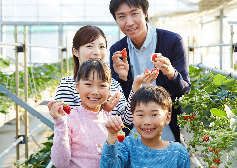 美味しいいちごと”楽しいこと”を ご用意してお待ちしています。